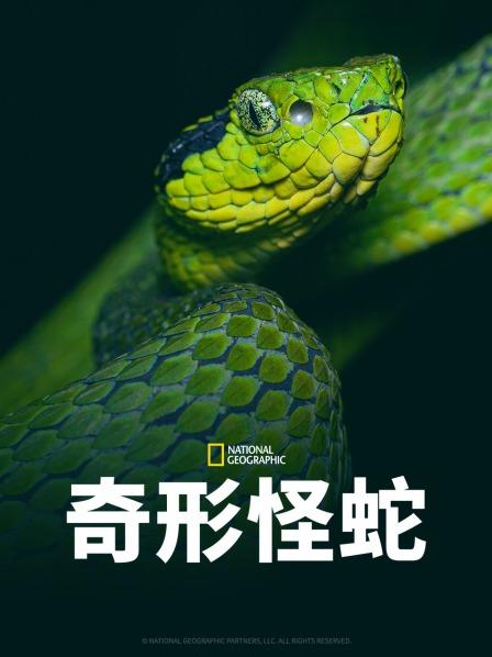 黑料网《奇形怪蛇》免费在线观看